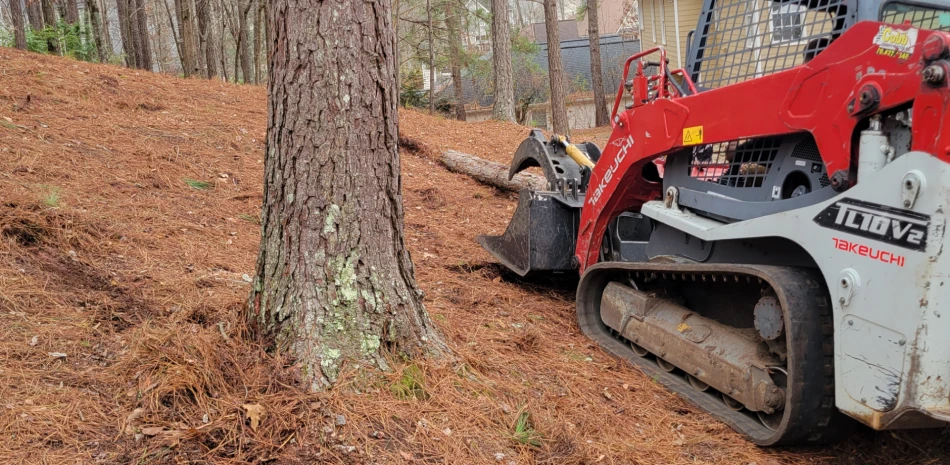 Bush Hogging and Forestry Mulching@1x