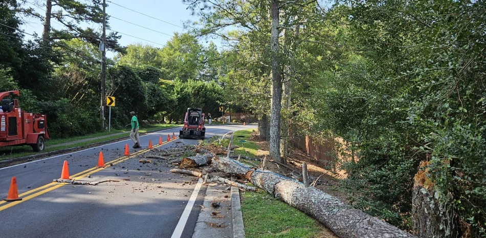 Emergency Tree Removal@1x