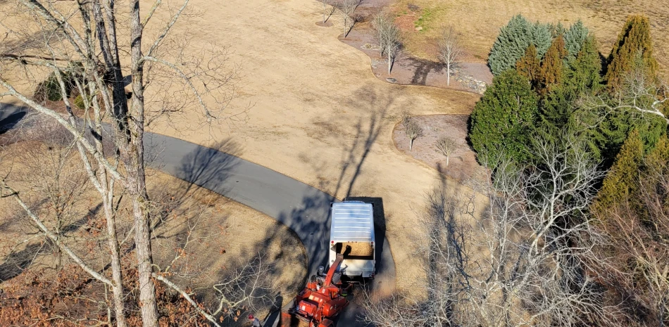 Land Clearing@1x