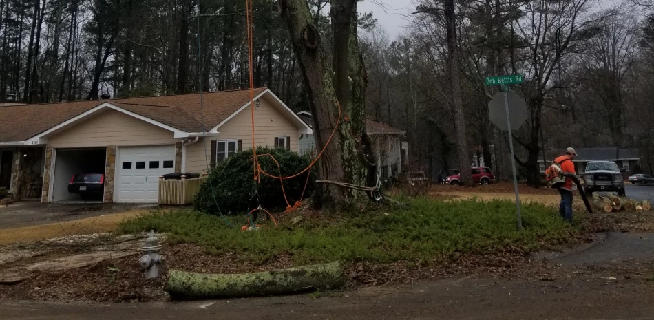 Storm Damage Cleanup@1x