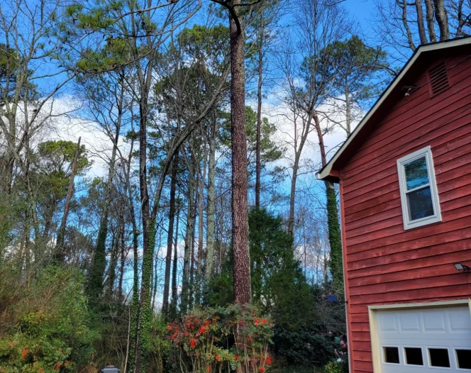 homepage image square 2@1x