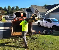 hs tree service 2026 02 10T22:01:48.036481Z 019c4993 04be 7fb8 8a44 6673994afdcf 1@1x