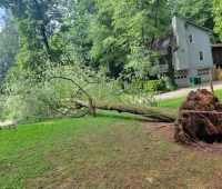 hs tree service 2026 02 10T22:02:17.667993Z 019c4993 8450 7497 bbce d877a3d1080c 1@1x