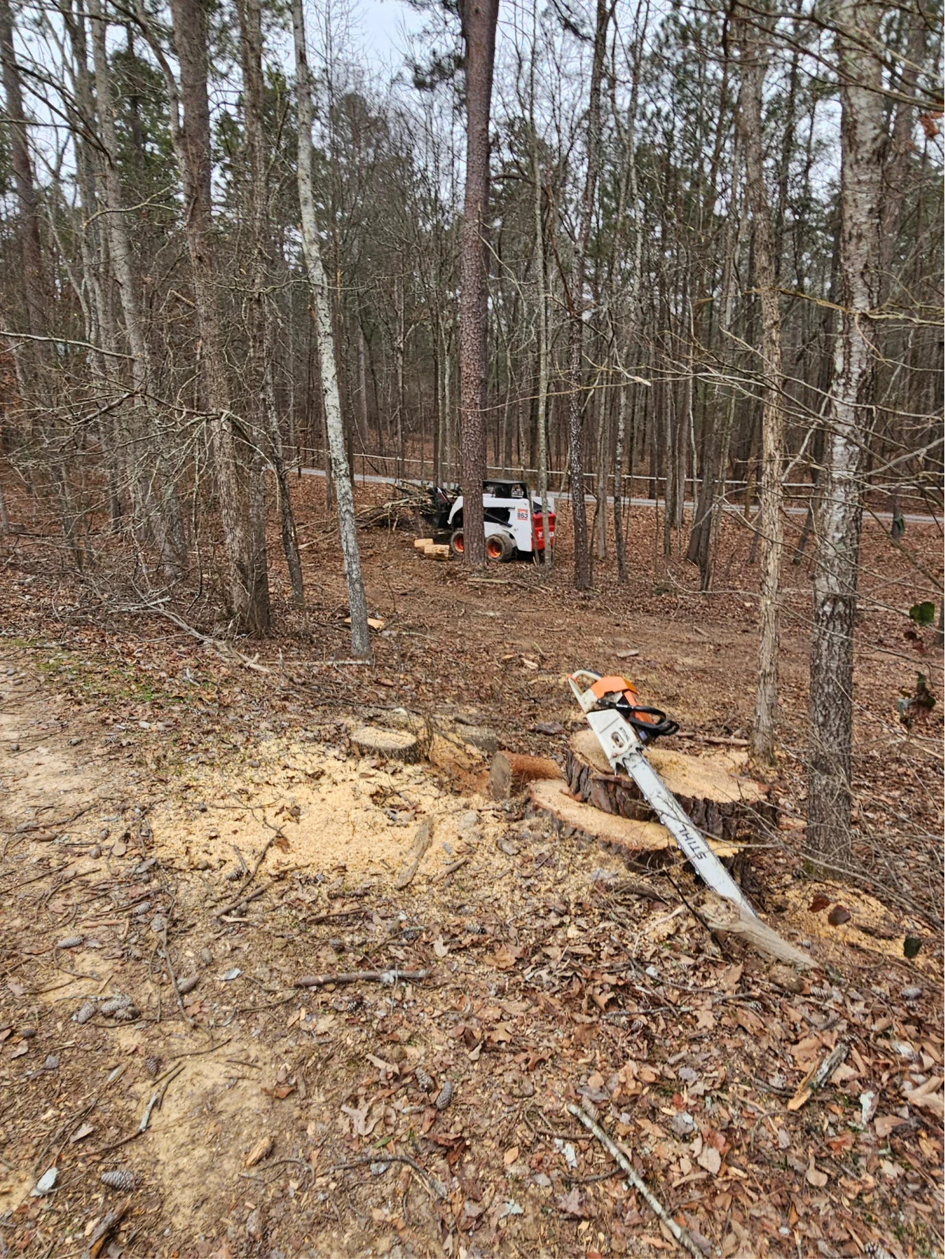 hs tree service 2026 02 10T22:09:02.722034Z 019c4999 a035 7a6d 8146 73325382002d 1@1x